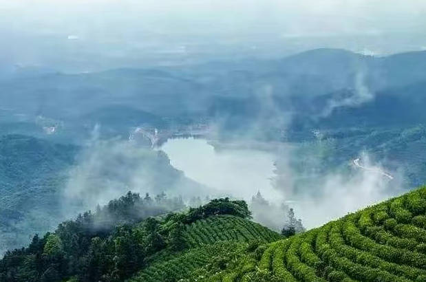 Xinyang Maojian Mountain