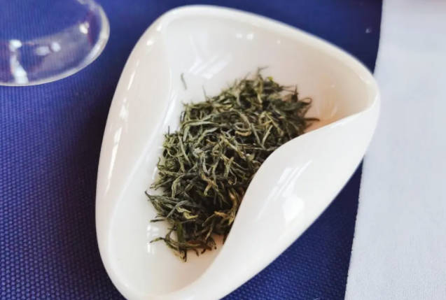 xinyang maojian tea